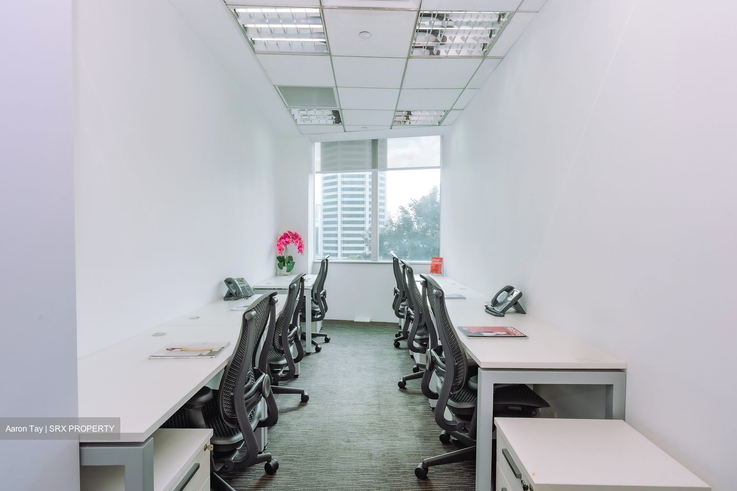 Shaw House (D9), Office #552878611